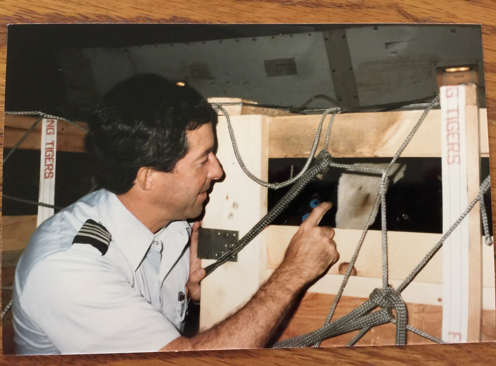 Uncle Tom — married into the family, flying all his own