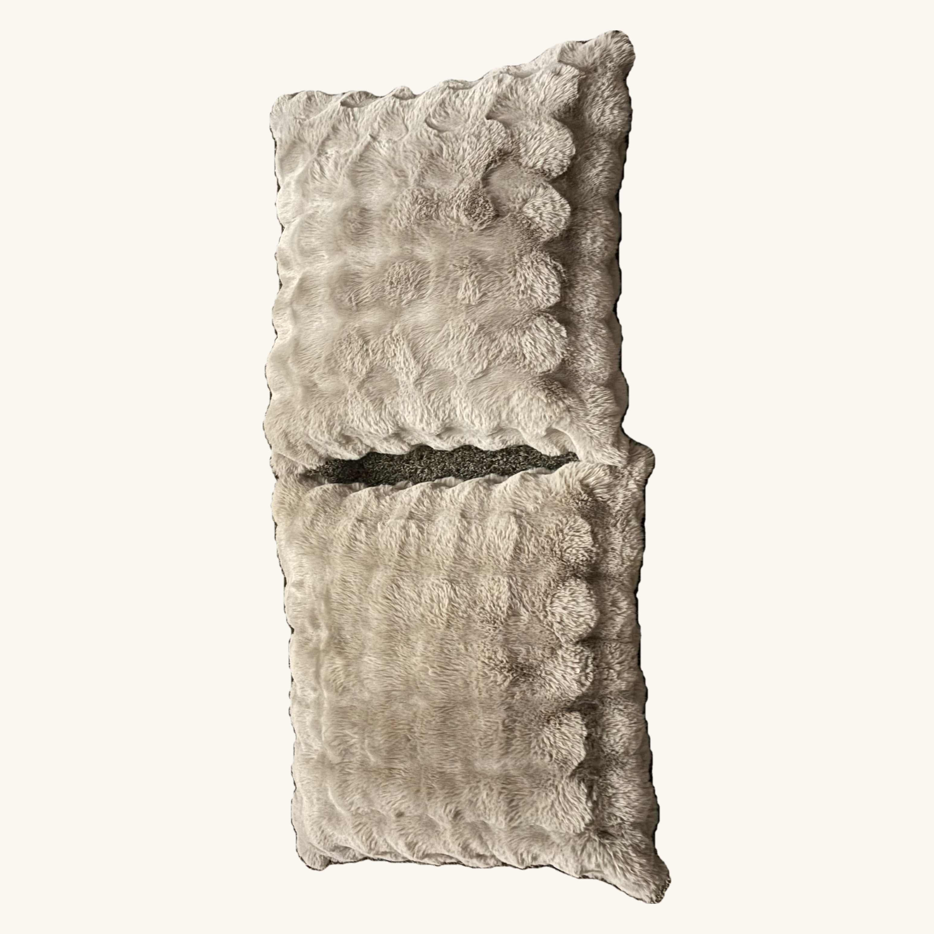 Cozy Earth cuddle pillow